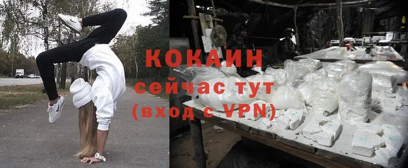 как найти закладки  Алапаевск  Cocaine Эквадор 