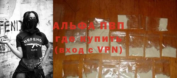 индика Весьегонск