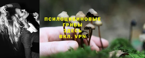 ALPHA-PVP Усинск