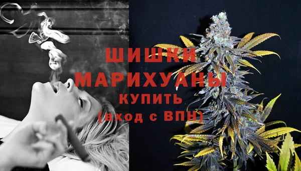 индика Весьегонск