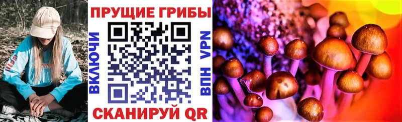 Галлюциногенные грибы Magic Shrooms  Алапаевск 