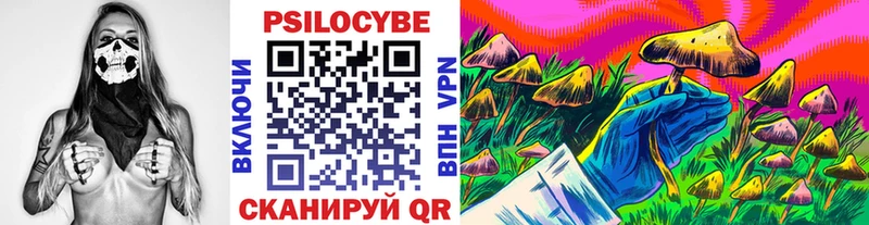 Псилоцибиновые грибы GOLDEN TEACHER Алапаевск