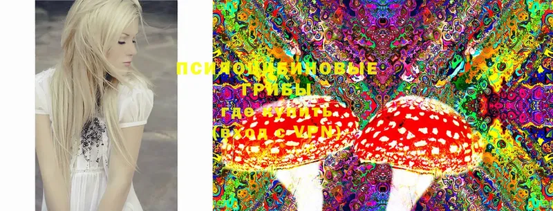 darknet телеграм  цена наркотик  Алапаевск  Псилоцибиновые грибы MAGIC MUSHROOMS 