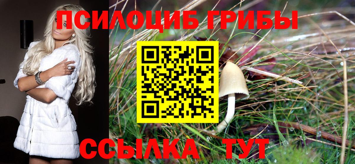 Галлюциногенные грибы GOLDEN TEACHER Алапаевск