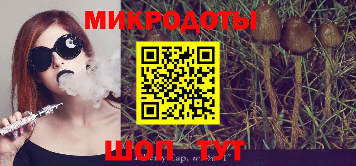 Галлюциногенные грибы прущие грибы  Вход с VPN  Алапаевск 